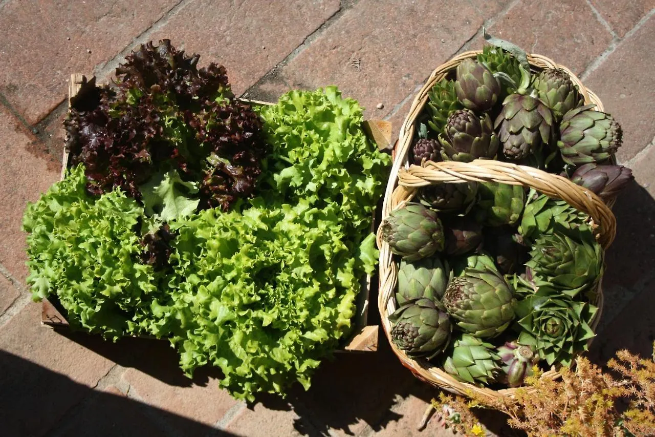 Fattoria San Donato Βίλα Σαν Τζιμινιάνο
