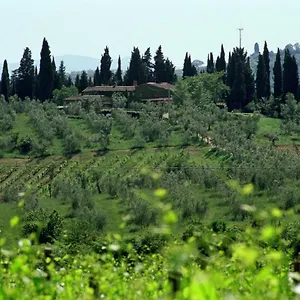  Landhuis Fattoria Casa Sola