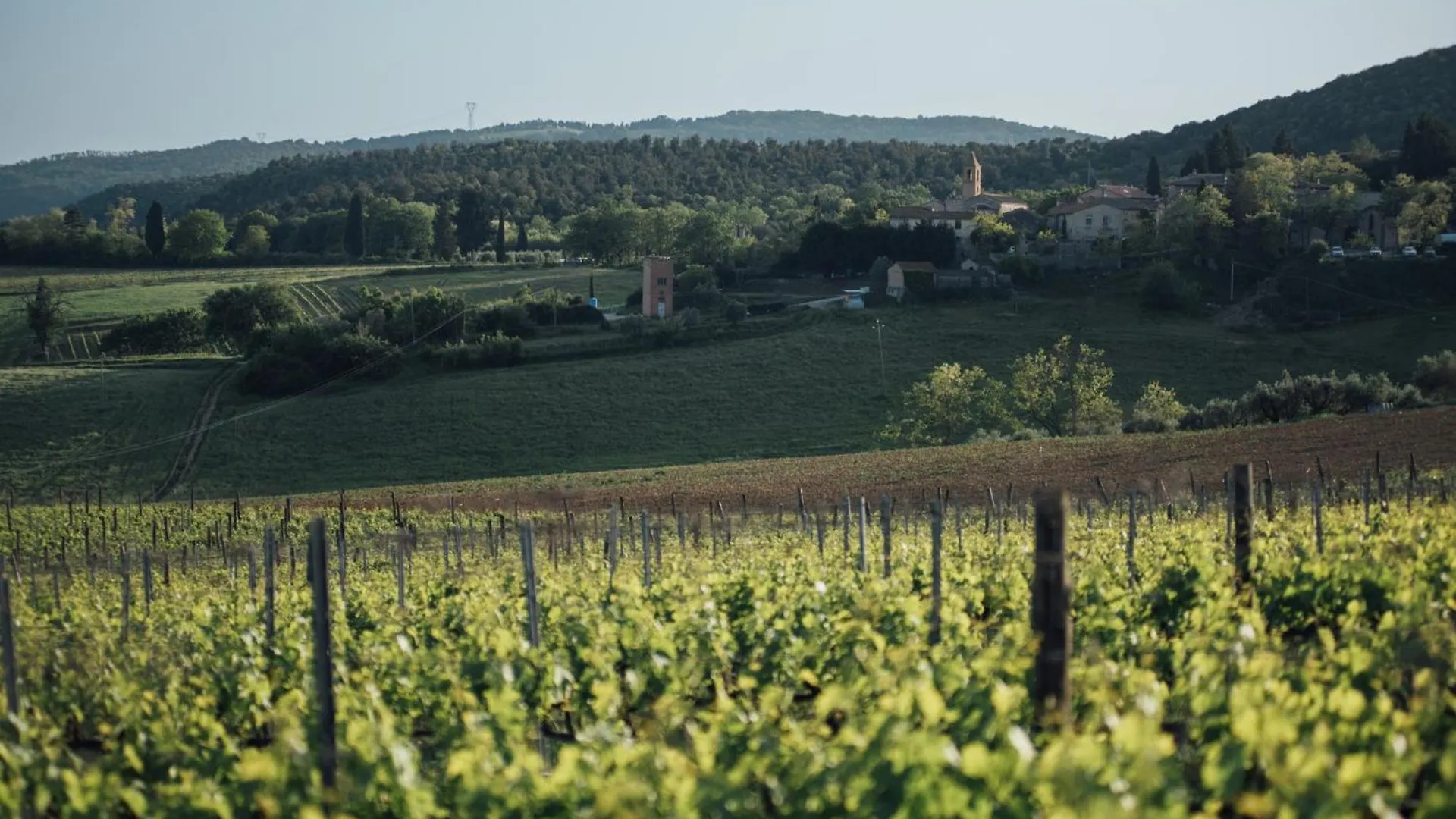 Fattoria San Donato Villa San Gimignano 0*,  Italy